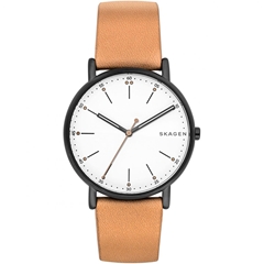 ساعت مچی اسکاژن SKW6352 - skagen watch skw6352  